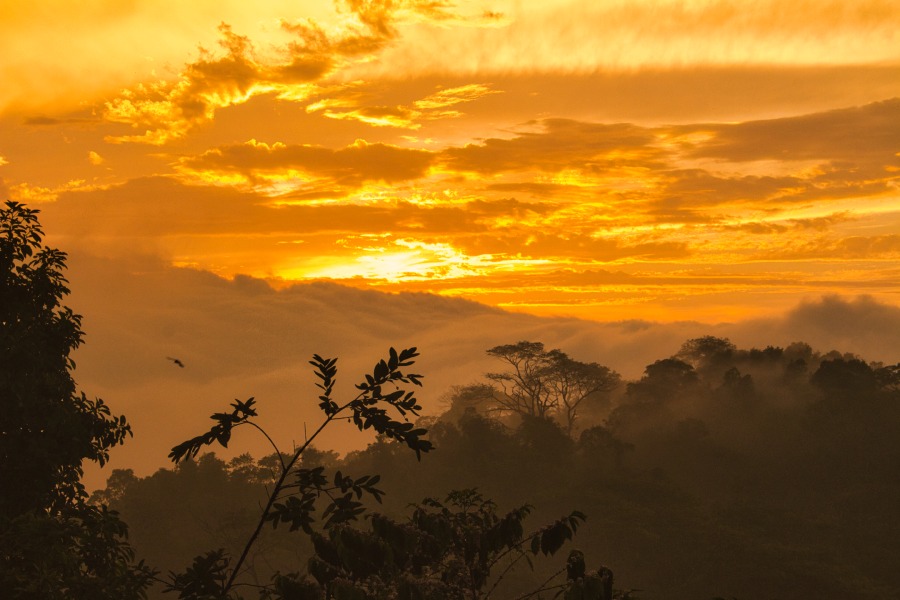 Atardecer en Minca, el cielo se contempla con tonos anaranjados y al fondo se observan las montañas de la Sierra Nevada de Santa Marta.